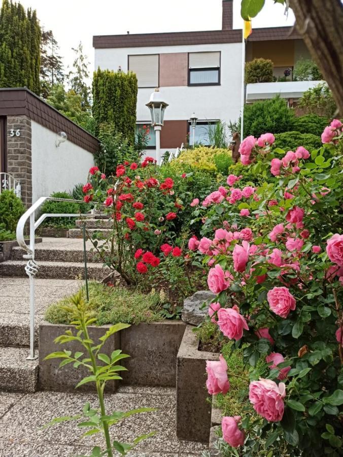 Apartments Gala, Ruhige Lage, Stadtnah Bad Kissingen Esterno foto