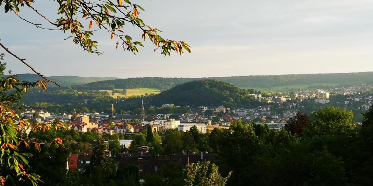 Apartments Gala, Ruhige Lage, Stadtnah Bad Kissingen Esterno foto