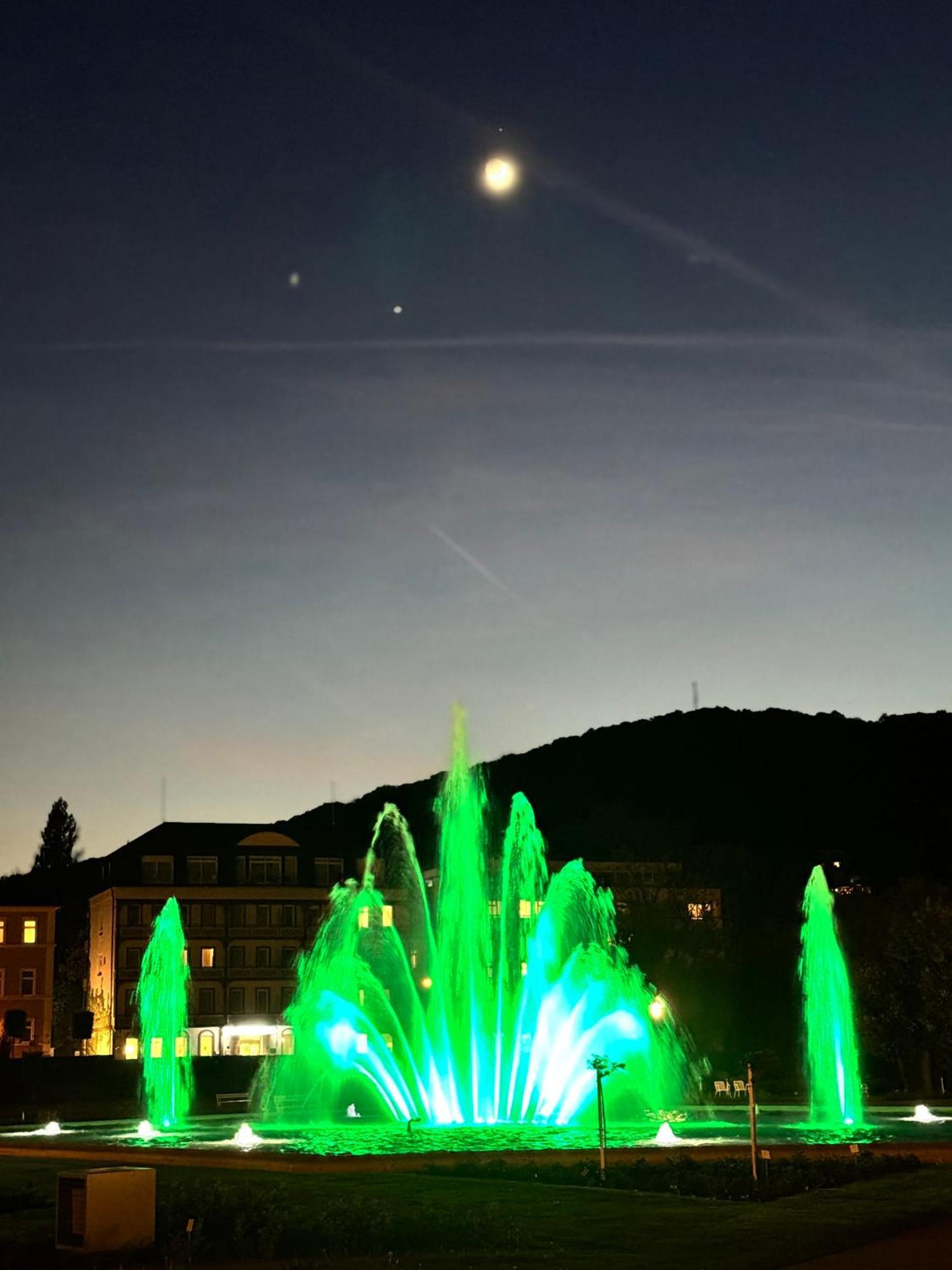 Apartments Gala, Ruhige Lage, Stadtnah Bad Kissingen Esterno foto