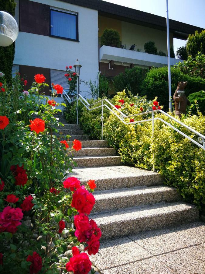 Apartments Gala, Ruhige Lage, Stadtnah Bad Kissingen Esterno foto