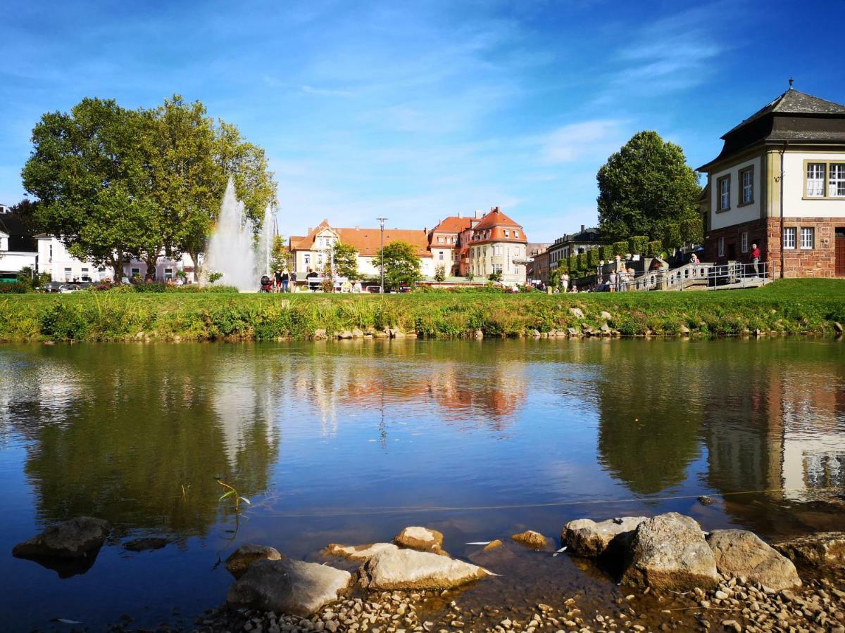Apartments Gala, Ruhige Lage, Stadtnah Bad Kissingen Esterno foto