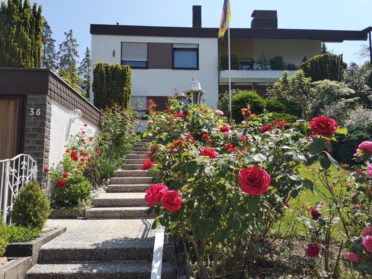 Apartments Gala, Ruhige Lage, Stadtnah Bad Kissingen Esterno foto